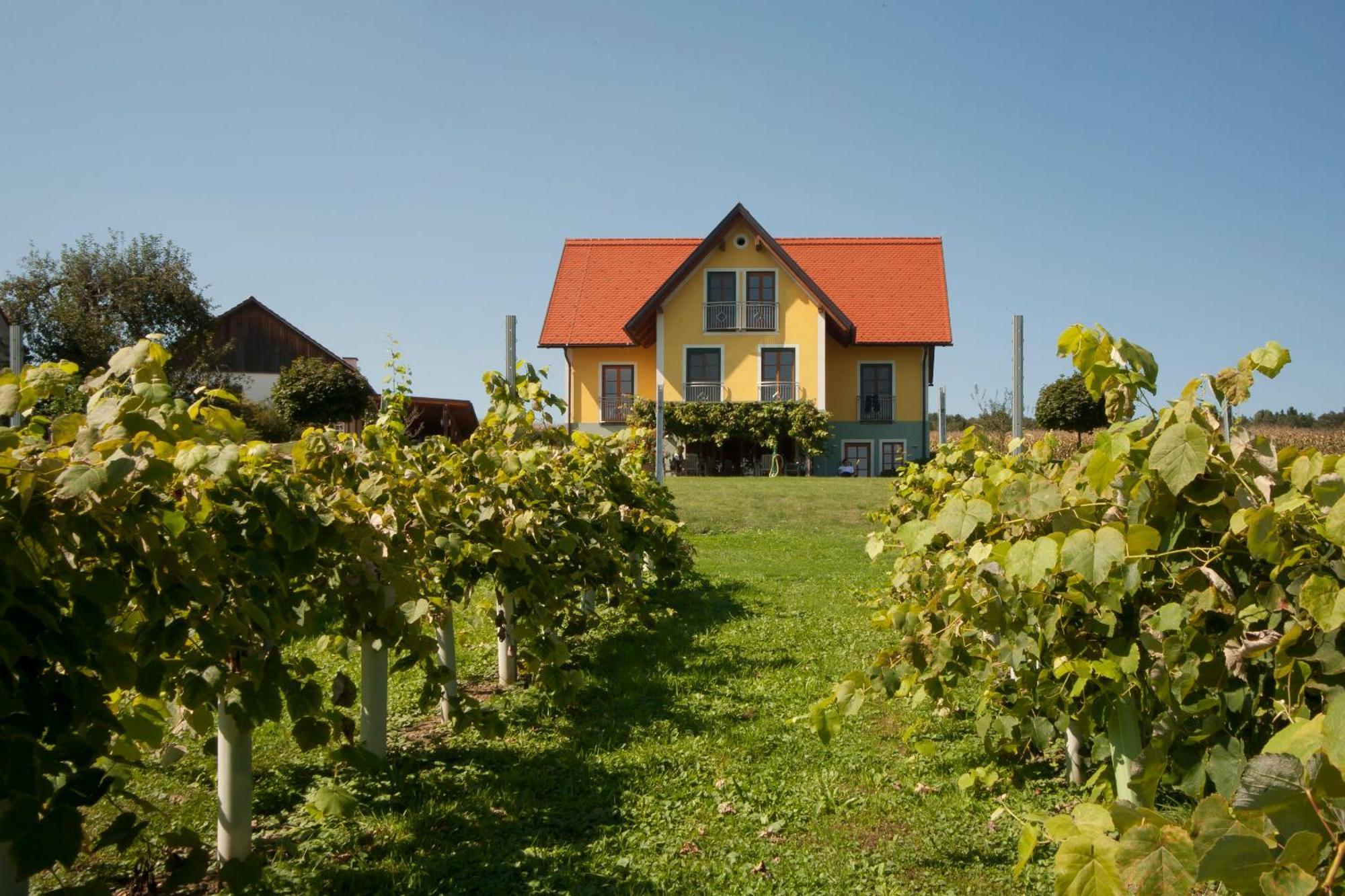 Weingut Winzerhof Gaestezimmer Grebenz Großklein المظهر الخارجي الصورة